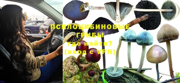 винт Баксан