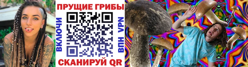 Псилоцибиновые грибы Psilocybine cubensis  omg как войти  Николаевск-на-Амуре 