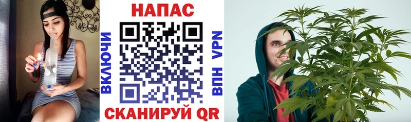 наркотики Николаевск-на-Амуре Конопля семена